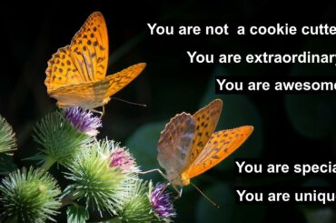 HSPと独自性： 唯一無二のあなたを認める