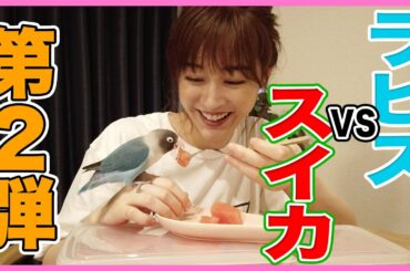 【実食！】ラピス 初めてのスイカの味にタジタジ！　恵理那とラピスの部屋#9