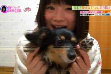 部屋と愛犬と憂佳.wmv