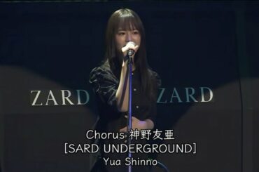 ZARD こんなにそばに居るのに What a beautiful memory 〜軌跡〜