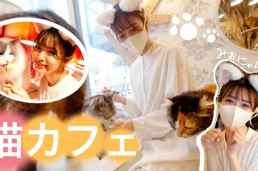 レモン君に会いに猫カフェ行ってきた🍋