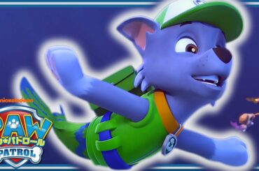 パウ・パトロール めいばめんしゅう うみのなか | パウ・パトロール公式