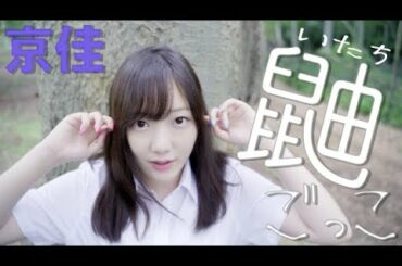 京佳「鼬ごっこ」【MV】