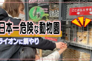 【子連れおでかけ】ライオン・キリンにエサやり！ドキドキな動物園ノースサファリサッポロ【Vlog】