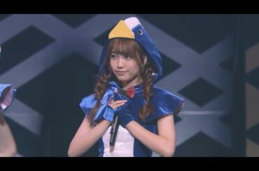 加藤玲奈 れなっちに癒されて・「走れペンギン」れなっち推しカメラ