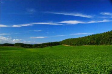 斉藤由貴～いつか