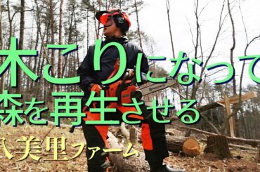 【八ヶ岳南麓田舎暮らし】木こりになろう1［八美里ファームで木を伐採して森を蘇らせるプロジェクト！］2021年2月の八美里ファーム