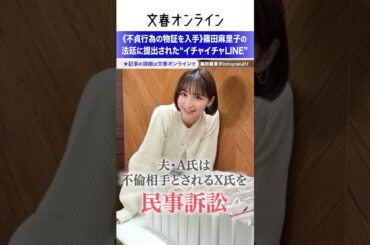 《不貞行為の物証を入手》篠田麻里子の法廷に提出された“イチャイチャLINE”