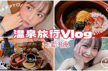 【Vlog】素敵過ぎる温泉に行って来ました♨️