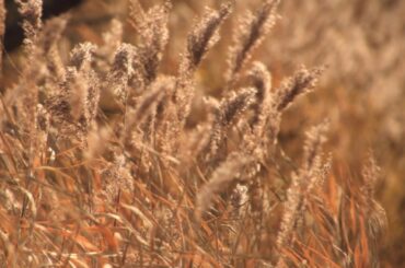 #The ALFEE #風景写真 #hokkaido 残像（２０１７）　曲　THE　ALFEE