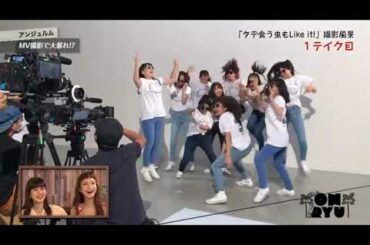 ハロプロ　ANGERME　アンジュルム　室田瑞希　むろたん