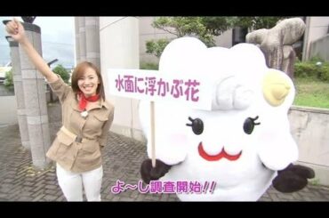 【三次めぐり隊】6月30日放送『水面に浮かぶ花』をめぐり隊♪