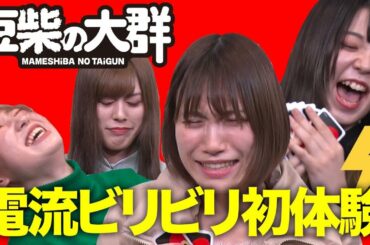 【豆柴の大群】アイカに○○言われたら電流ビリビリ対決