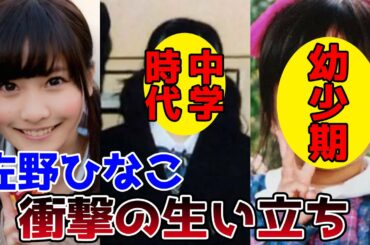 【ゆっくり解説】佐野ひなこの衝撃的な生い立ちと人生を徹底解説してみた。結婚願望について・・・