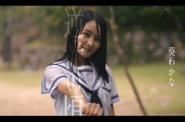 高杉真宙＆葵わかな初共演で人気漫画を繊細に実写化／映画『逆光の頃』特報