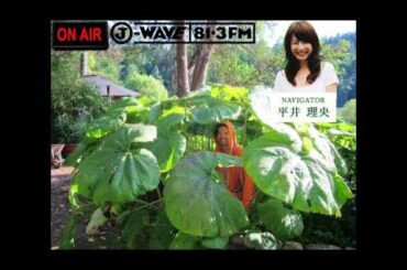 平井理央が【共生革命家】ソーヤー海をインタビュー（J-Wave Wonder Vision)