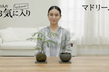 【愛用品紹介】あの人のお気に入り｜女優・武井咲さん｜マドリーム