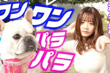 #4【テレビ東京アナウンサー・森香澄が踊る】Bad Boy/ TV announcer dances " Bad Boy "