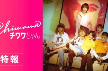 1/18(金)公開『チワワちゃん』特報