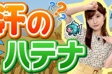 『汗のハテナ？』（す・またん！7/25放送分）