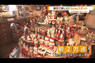 横浜・1年中楽しめる！“Xmasグッズ専門店”…おすすめプレゼント3選【あらいーな】(2022年12月16日)