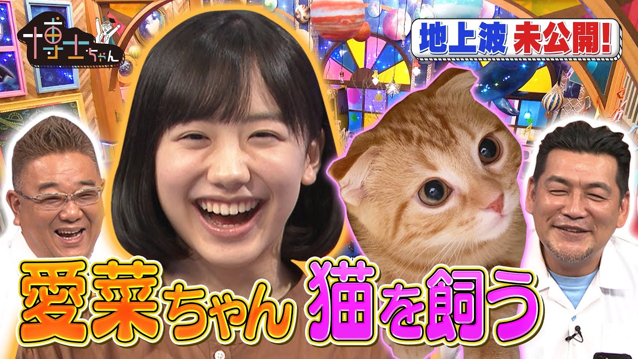 【芦田愛菜 猫を飼う】博士ちゃん 未公開トーク! 【芦田愛菜 猫を飼う】博士ちゃん 未公開トーク!