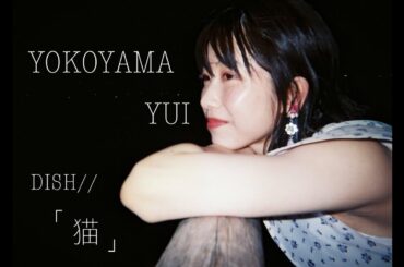 『猫』DISH// を横山由依が歌ってみた［木﨑ゆりあプロデュース］