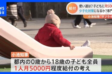 小池都知事　0歳から18歳の子どもに月5000円程度を給付と発表　所得制限はなし　対象は約190万人｜TBS NEWS DIG