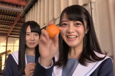 STU48門田桃奈さん田中皓子さん、宇和島でミカン農園と真珠の養殖場を訪ねる