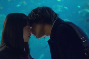 森川葵、北村匠海＆佐藤寛太からハグにキス…　映画「恋と嘘」予告編