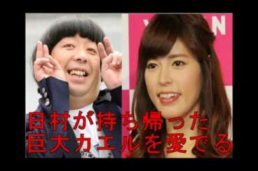 バナナマン日村がプレゼントでもらったカエルに驚き過ぎて謎の行動を取る神田愛花　バナナマンのバナナムーンGOLD　2018年5月18日