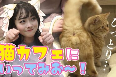 新オープンの猫カフェが最高すぎる！中塚アナのいってみお～！