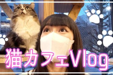 猫カフェにいってきました。🐈