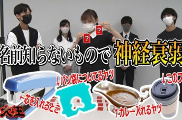 見たことあるけど名前は知らないヤツで神経衰弱！