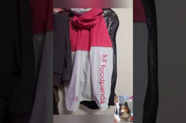 若かりし頃と、今の人への思いと愚かな私の生き様。