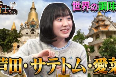 愛菜ちゃん大興奮！【世界の調味料４選】「サテトム」って何！？