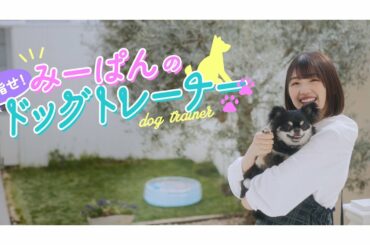 日向坂46 佐々木美玲『みーぱんの目指せ！ドッグトレーナー』