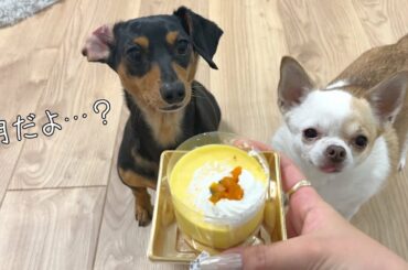 遅すぎたクリスマス