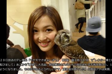 【福田典子アナ】テレビ東京女性アナウンサーカレンダー2017発売！【撮影オフショット☆】