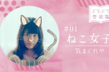 有村架純がツンデレのねこ女子に!?  wicca(ウィッカ)『どうぶつ恋図鑑』webムービー