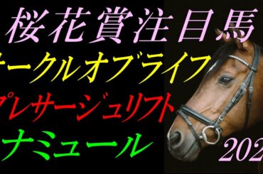 【G1展望】 桜花賞2022 注目馬：人気馬の《好材料・不安材料》を詳しく解説！『ナミュール・サークルオブライフ・プレサージュリフト・ベルクレスタ』