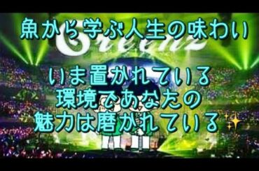 #262  思い通りにいかない状況でこそあなたなりの魅力という旨味がひき締まる