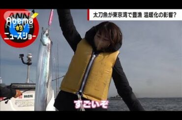 東京湾に異変…太刀魚が爆釣のワケ(2023年1月8日)