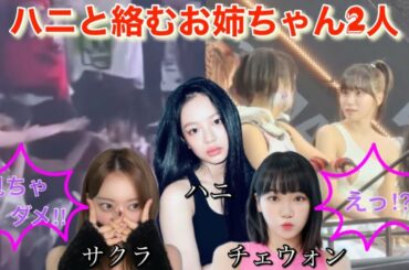 【LE SSERAFIM／NewJeans】ルセラフィムの宮脇咲良とチェウォンがニュージーンズのハニと絡み話題に【Golden Disc Awards】