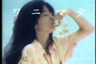 1982 サントリー ワイン レゼルブ