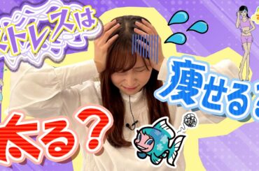 『ストレスは太る？痩せる？』ストレス軽減の３つの行動／す・またん！