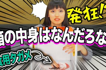 【発狂】箱の中身はなんだろな？🐛🐜🐞🦗
