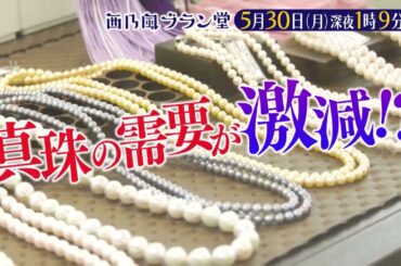 「西乃風ブラン堂」真珠の町・宇和島の危機に立ち向かう“激安ガチャ”で大はしゃぎ★５月３０日(月)深夜１時9分～★植村あかり×川村文乃