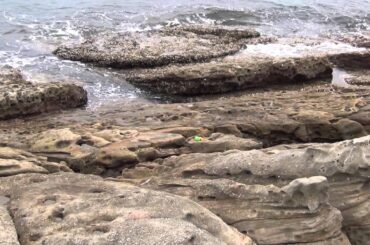 磯に忘れ去られたペットボトル