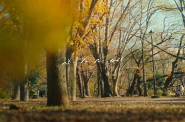 ふたたび(with 大塚 愛) Music Video｜HIROBA